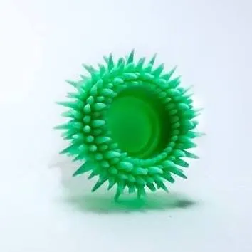 Rolly Brush Mint Flavor Product